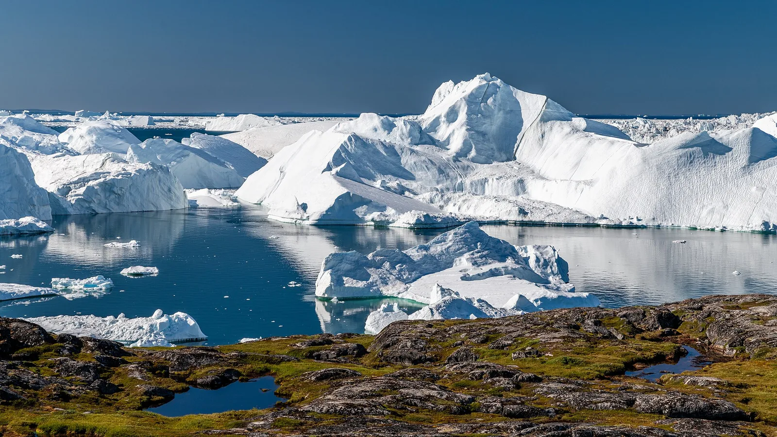 Ice coastline for travellers who want wild places done properly
