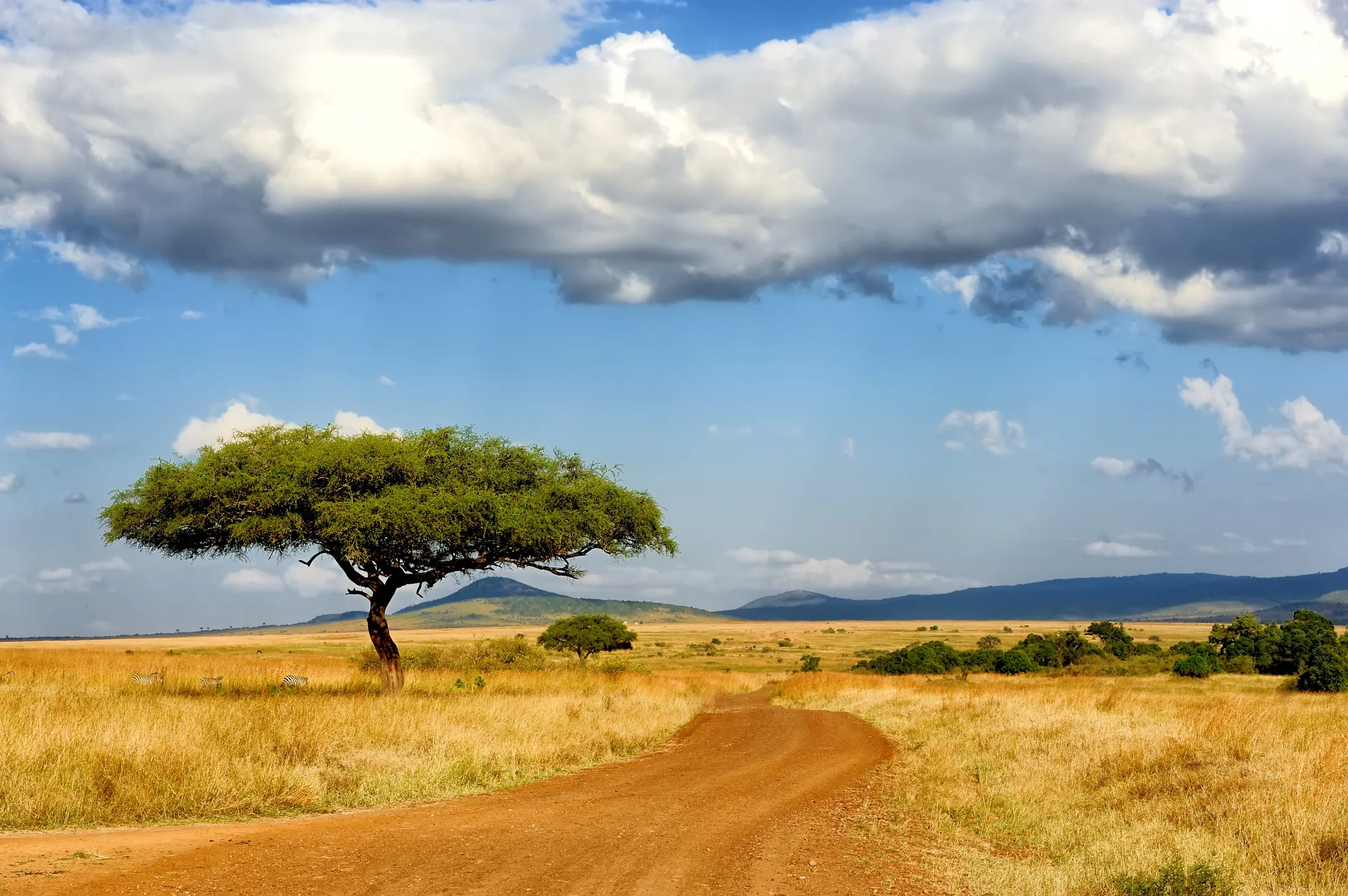 Masai Mara plains