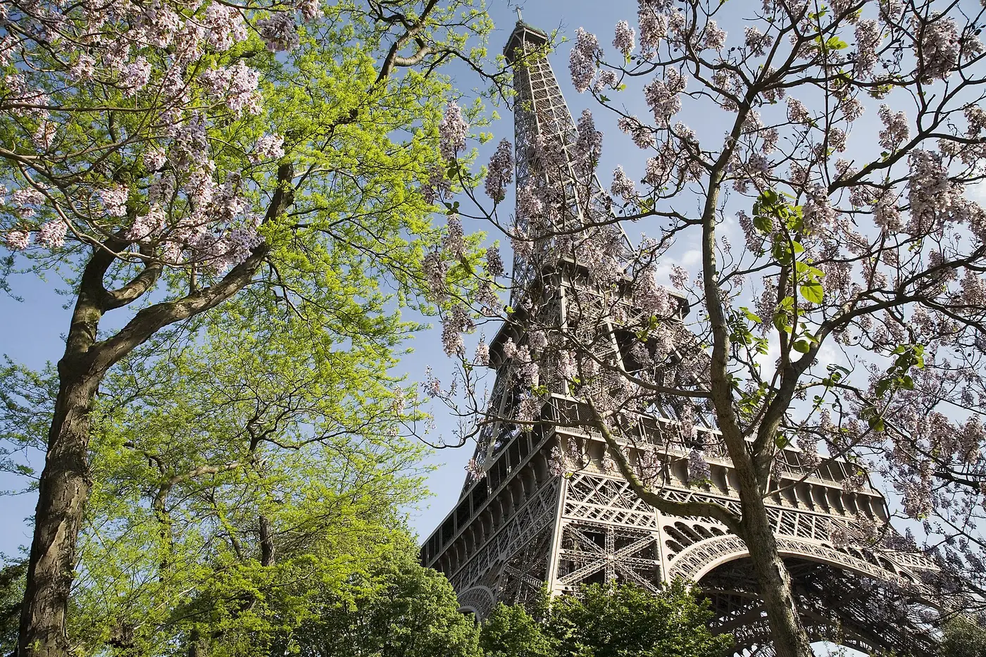 Eiffel Tower in Paris