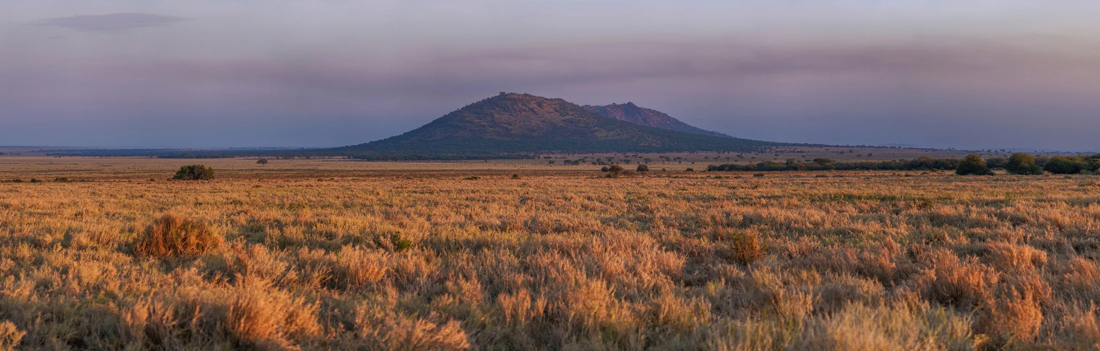Serengeti plains